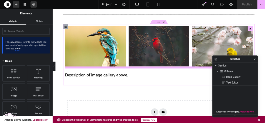 Screenshot of an Elementor page with sections and columns