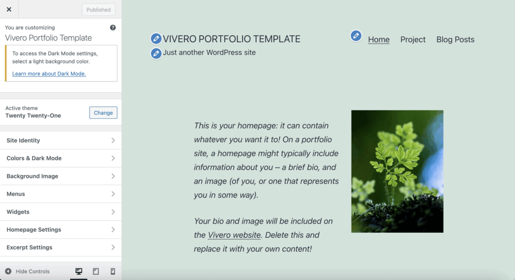 Screenshot of the Theme Customizer in WordPress